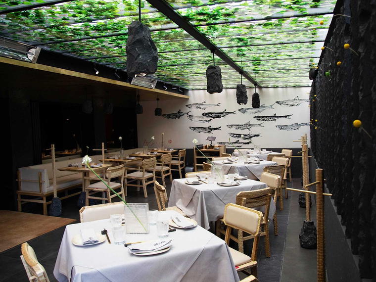 Ishi-Ko, Mexico City, Mexico