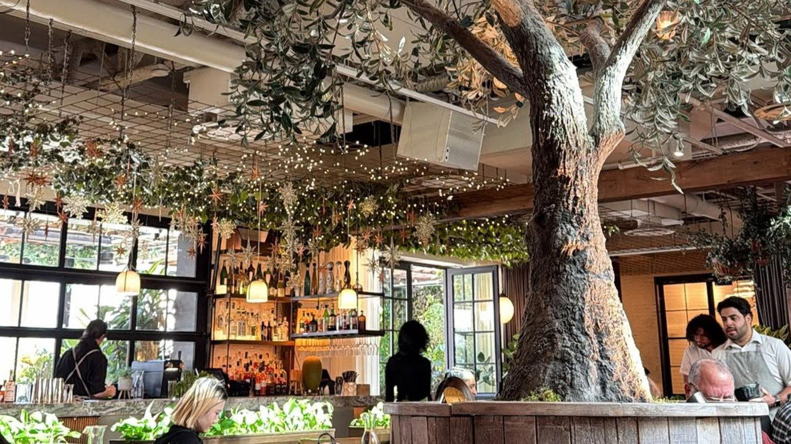 Lush, Chicago, United States