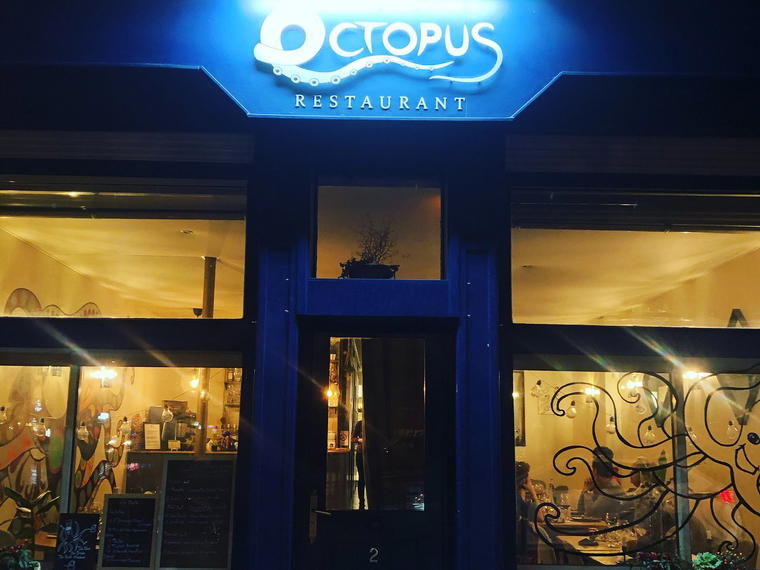 Octopus, Lille, France