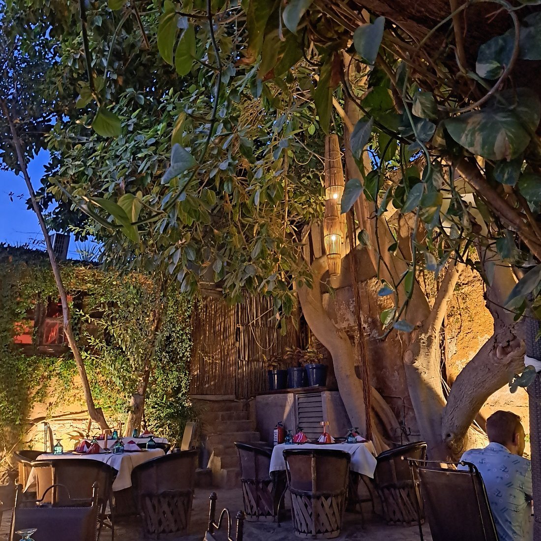 Garden Steakhouse by Tequila restaurant in San Jose Del Cabo, Mexico