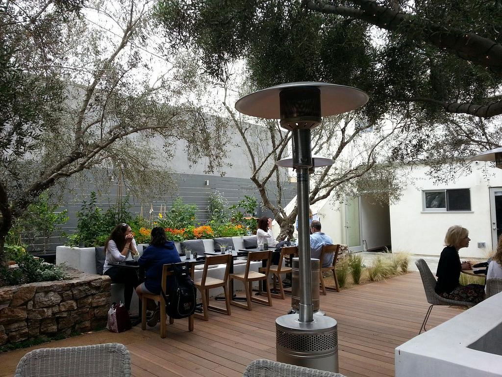 Plant Food + Wine, Restaurant in Los Angeles