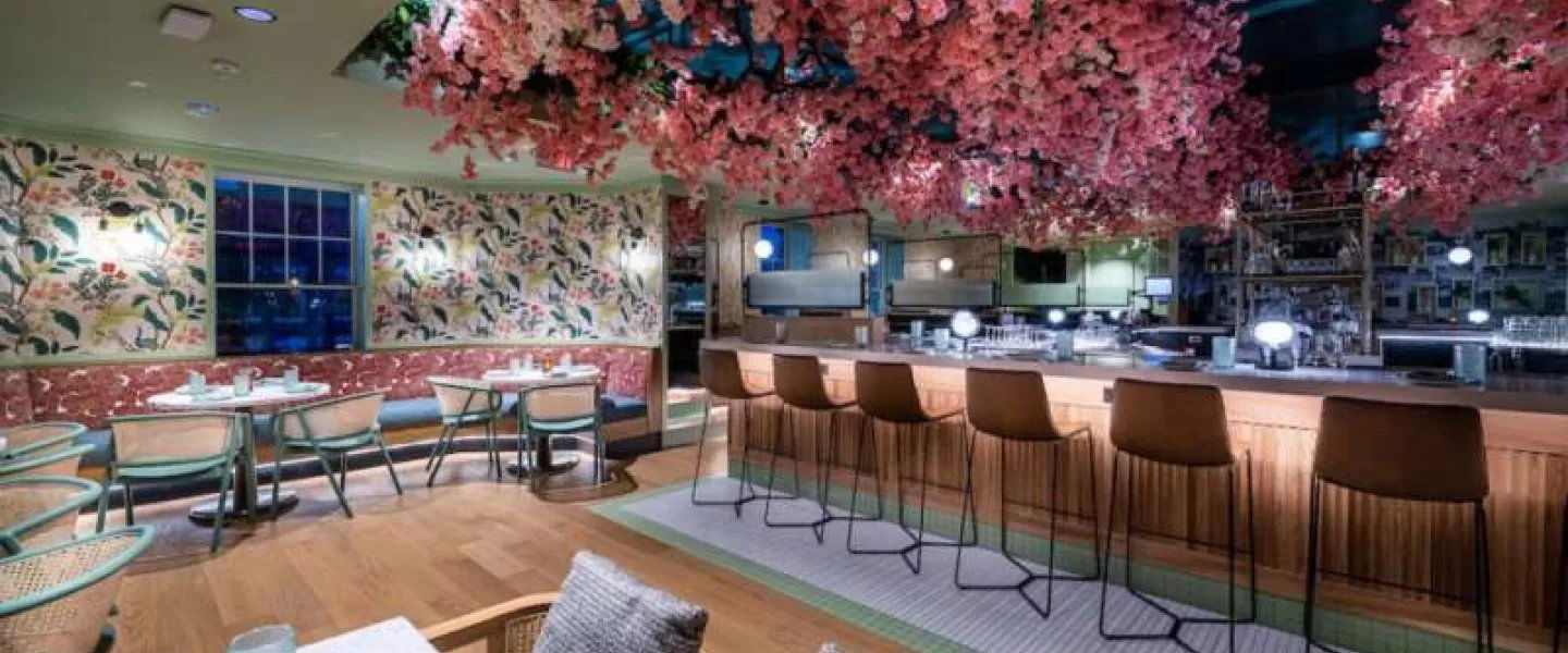 Ambar - Shaw, Restaurant in Washington DC