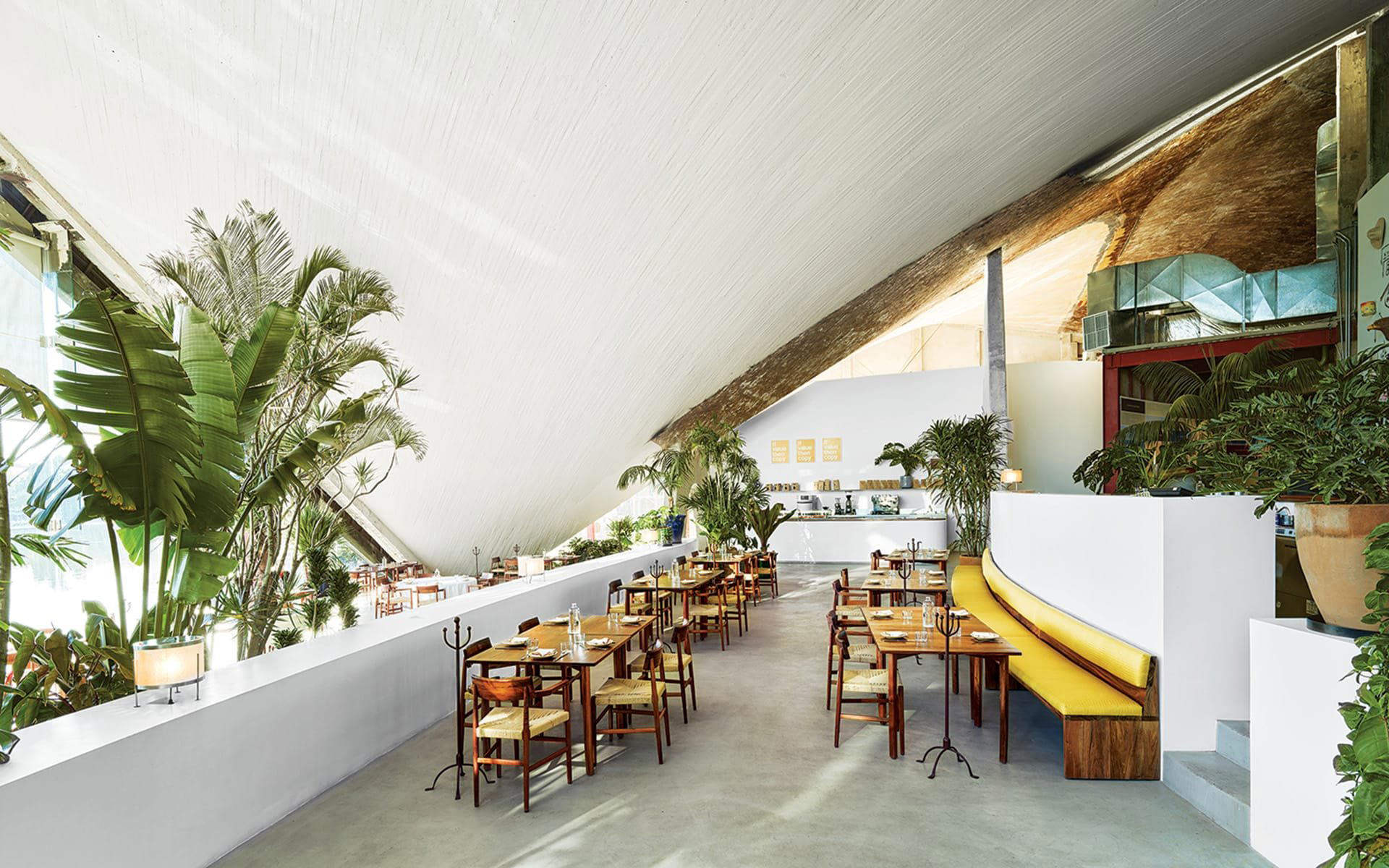 Lago | Algo, Mexico City, Mexico