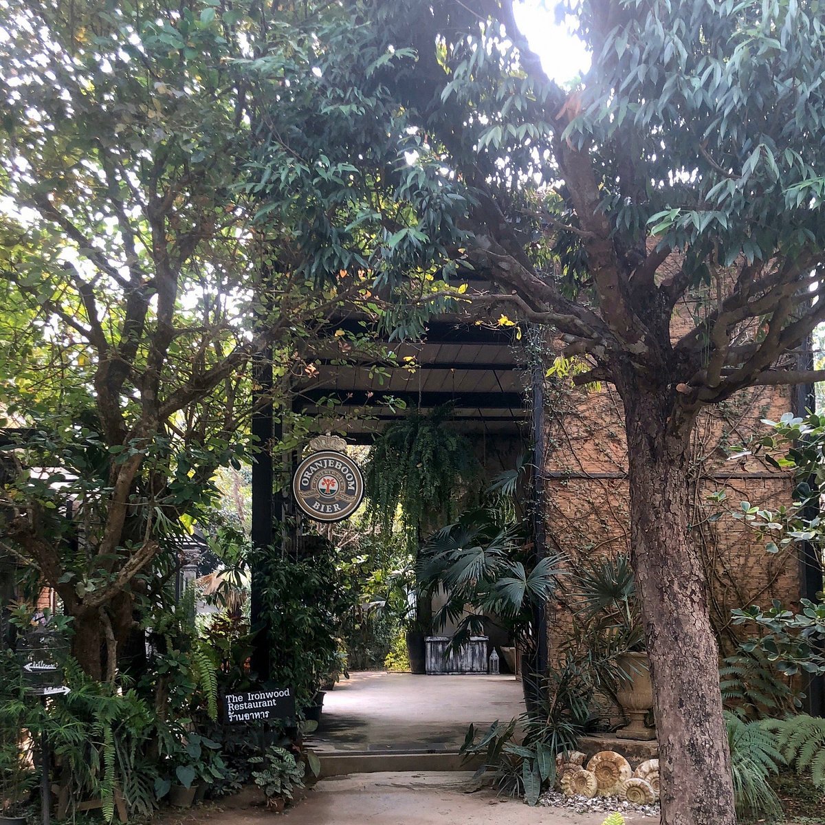 The Ironwood