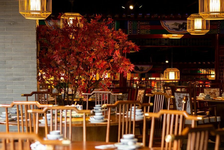 Old Beijing, Restaurant in Melbourne