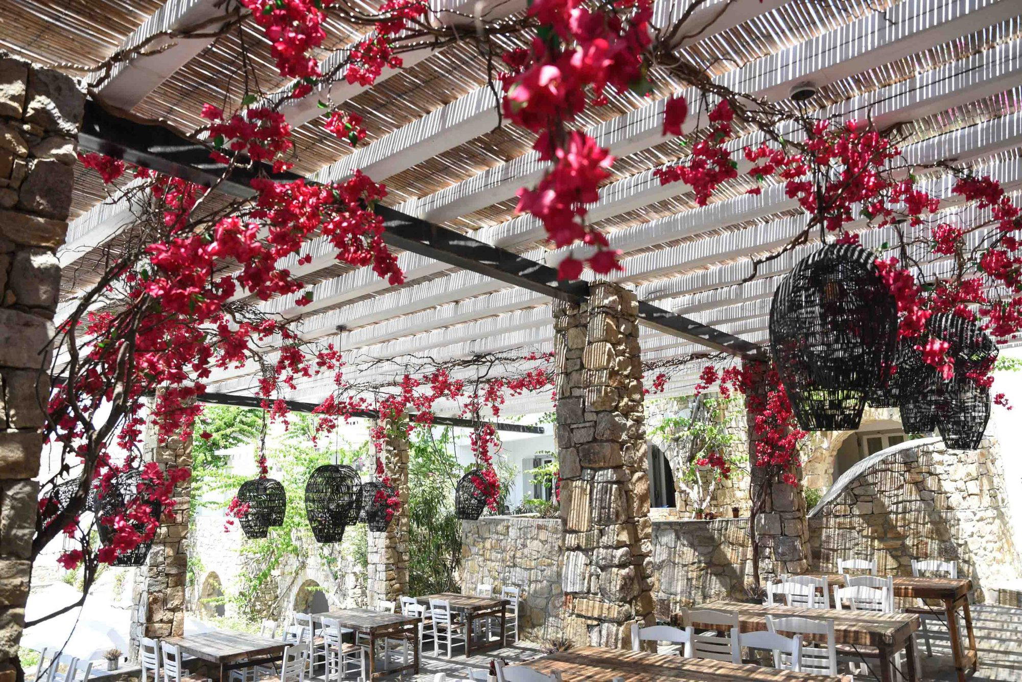 Ambrosia Restaurant & Terrace restaurant in Mykonos