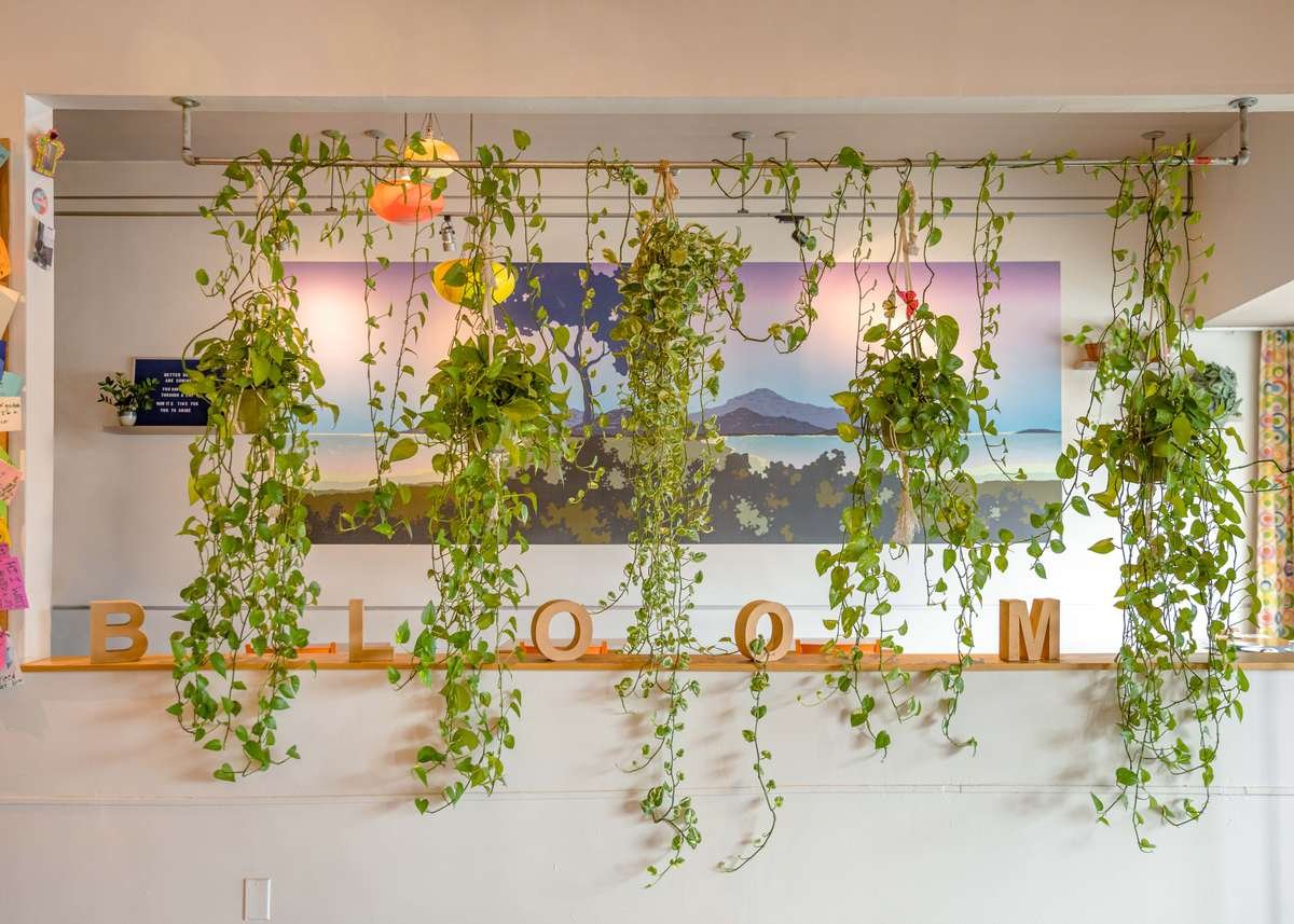 Bloom Cafe, Restaurant in Los Angeles