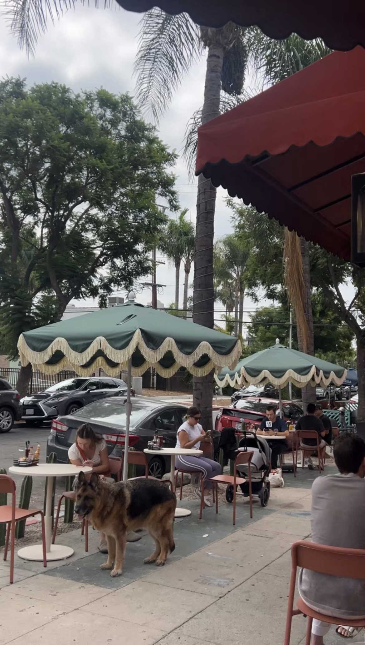 First Of All, Restaurant in West Hollywood