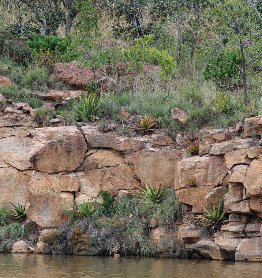 Lapa at Zulu Camp