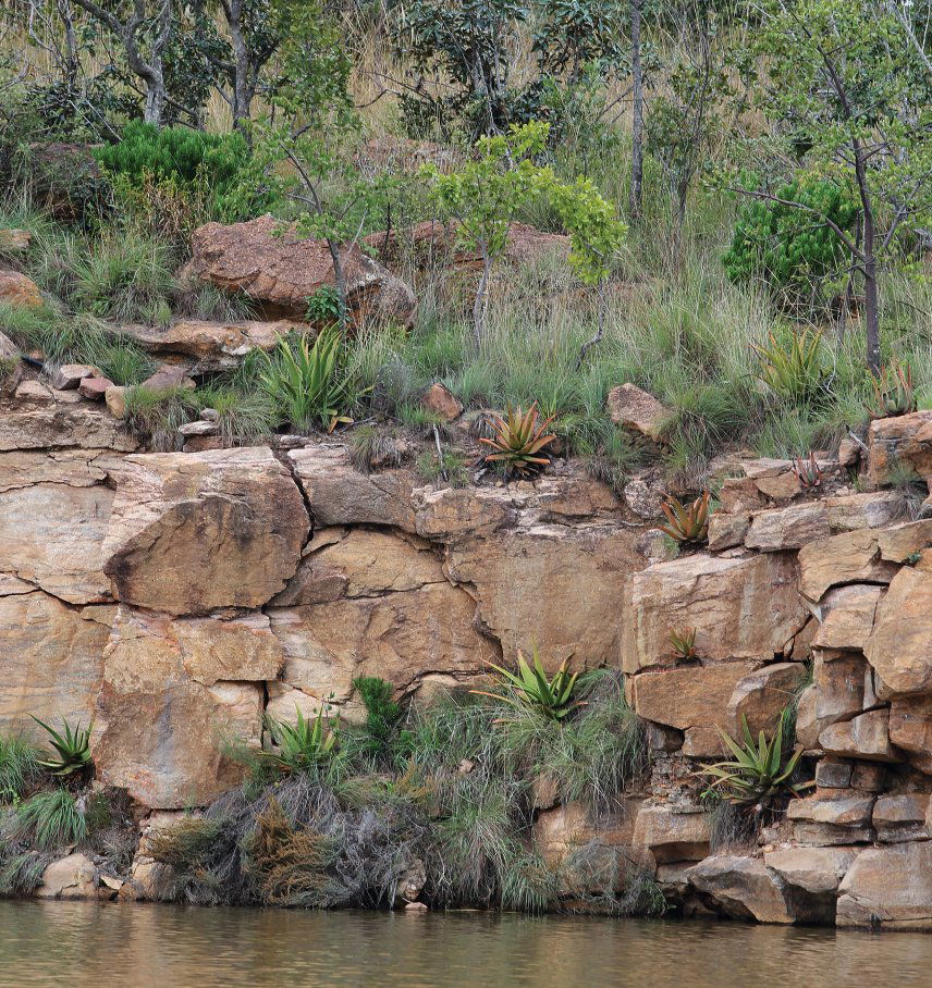 Lapa at Zulu Camp, Restaurant in Vaalwater