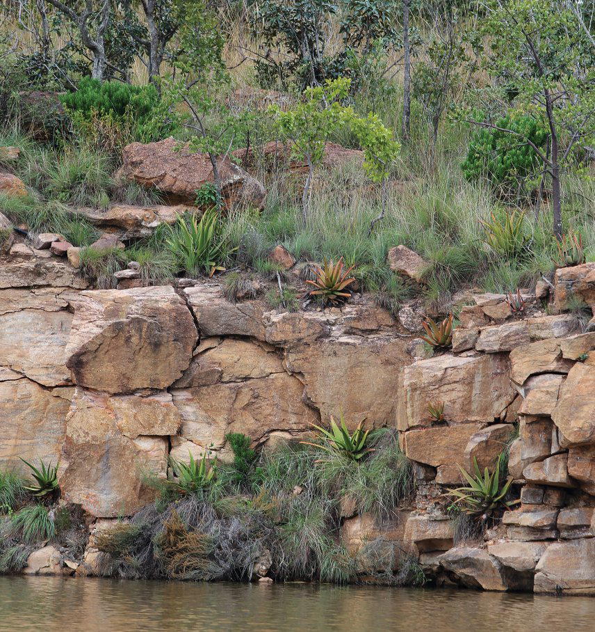 Lapa at Zulu Camp restaurant in Vaalwater