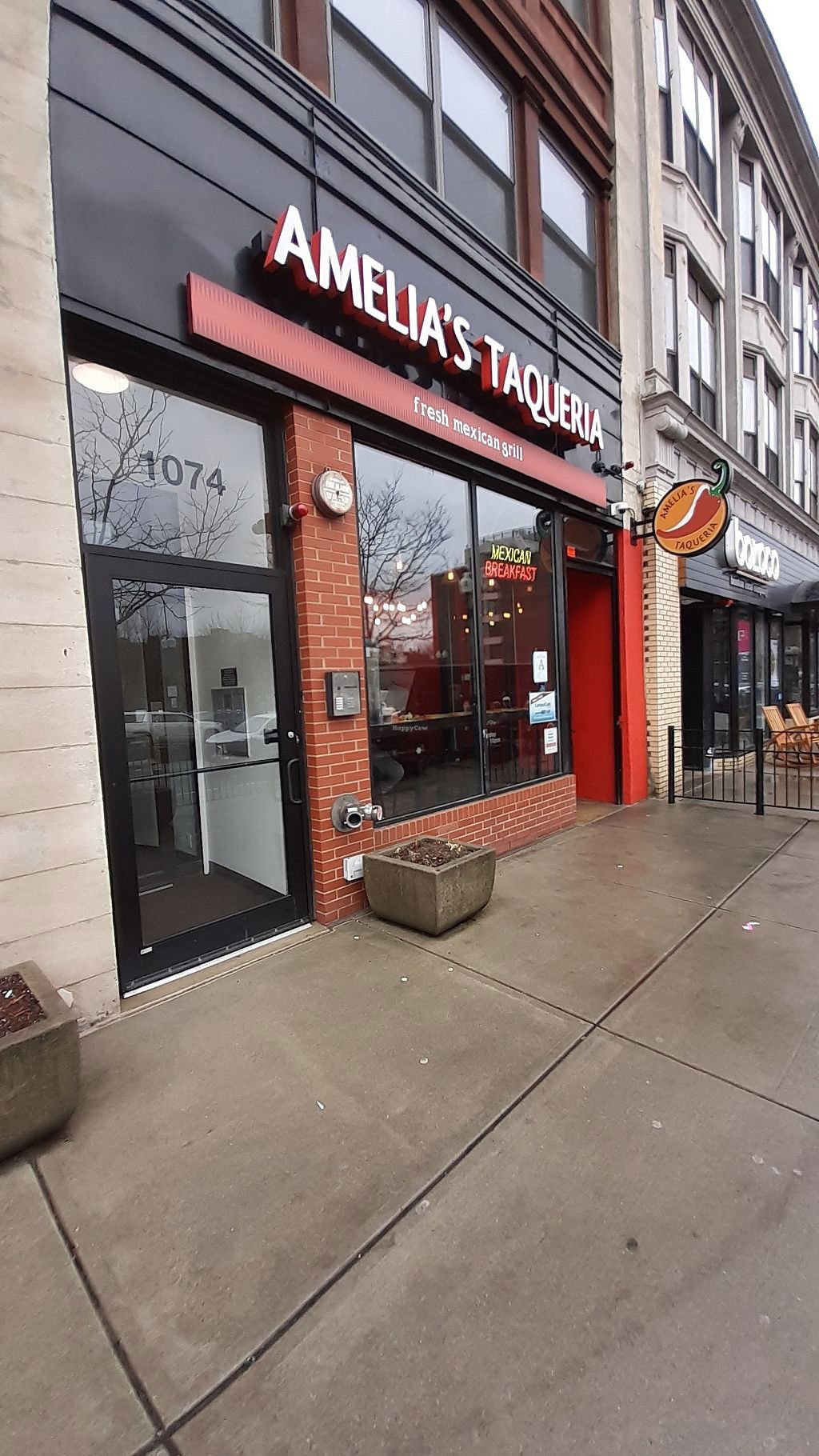 Amelia's Taqueria, Restaurant in Boston