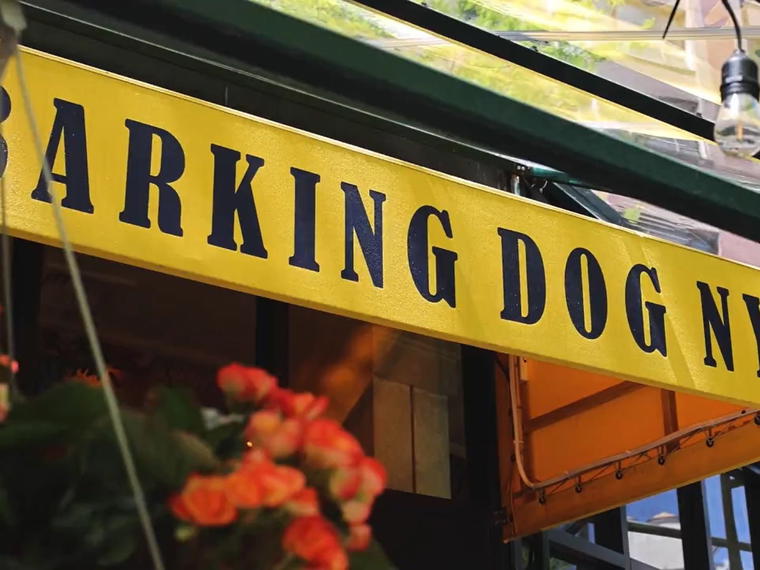 Barking Dog NYC, New York City, United States