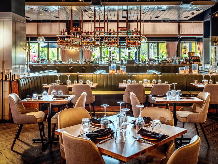The Blue Dog, Boca Raton, United States