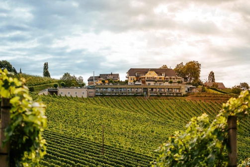 Weinrefugium Brolli