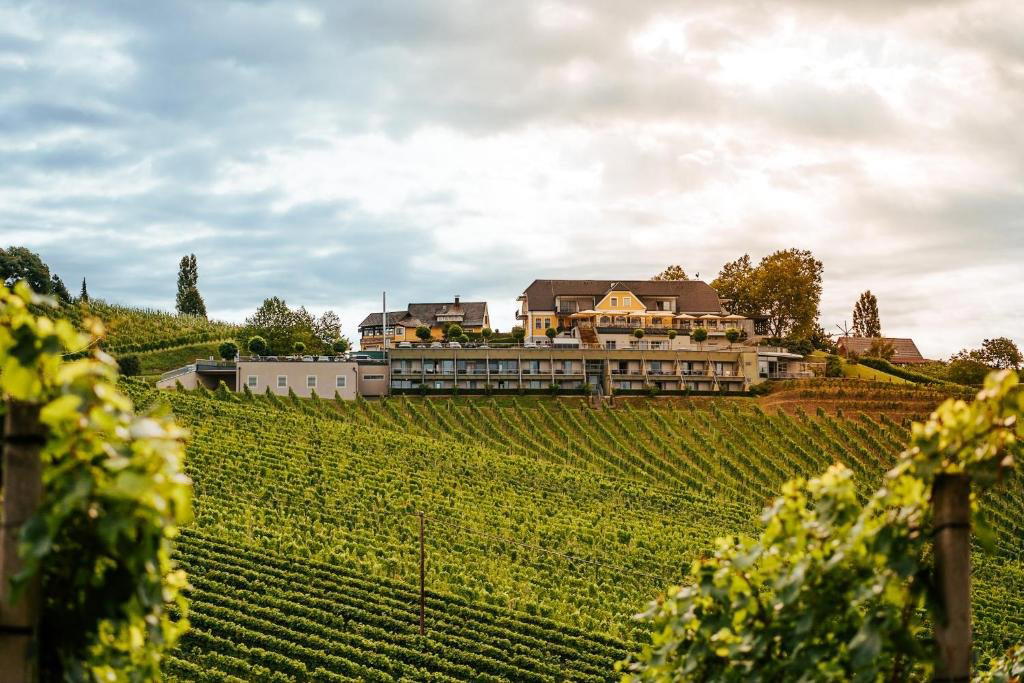 Weinrefugium Brolli restaurant in Gamlitz, Austria