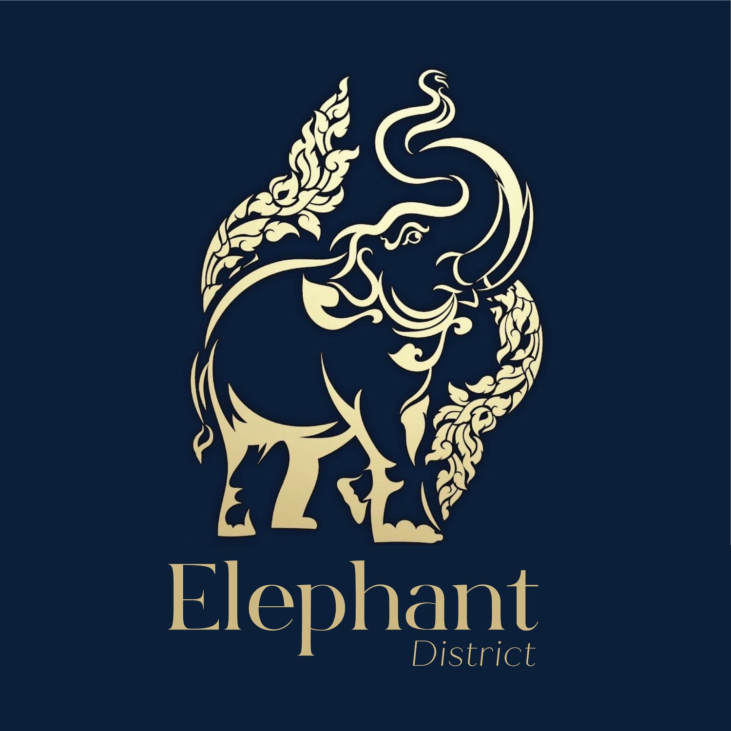 Elephant District, Restaurant in New York City