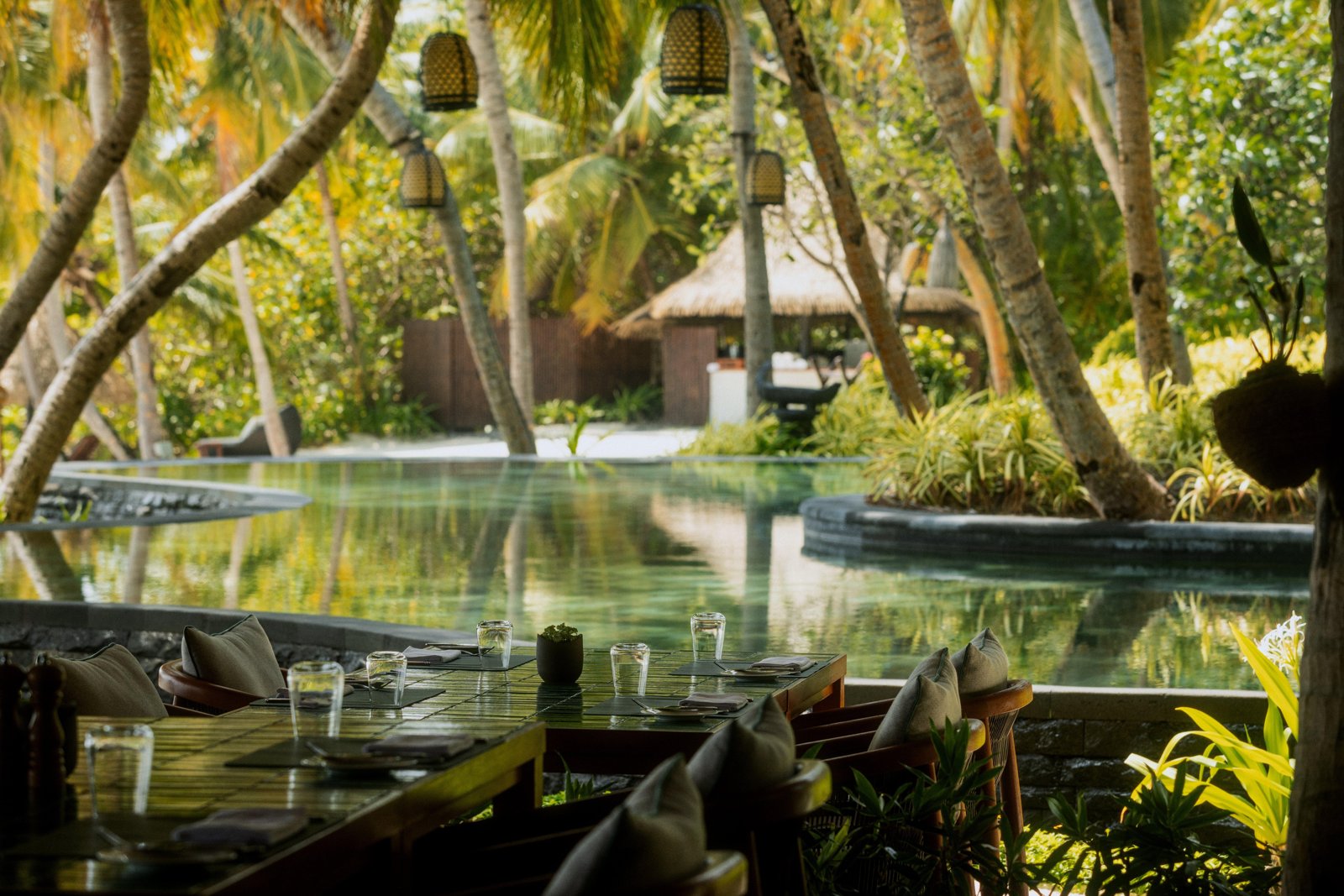 Rabarbaro, Restaurant in North Male Atoll