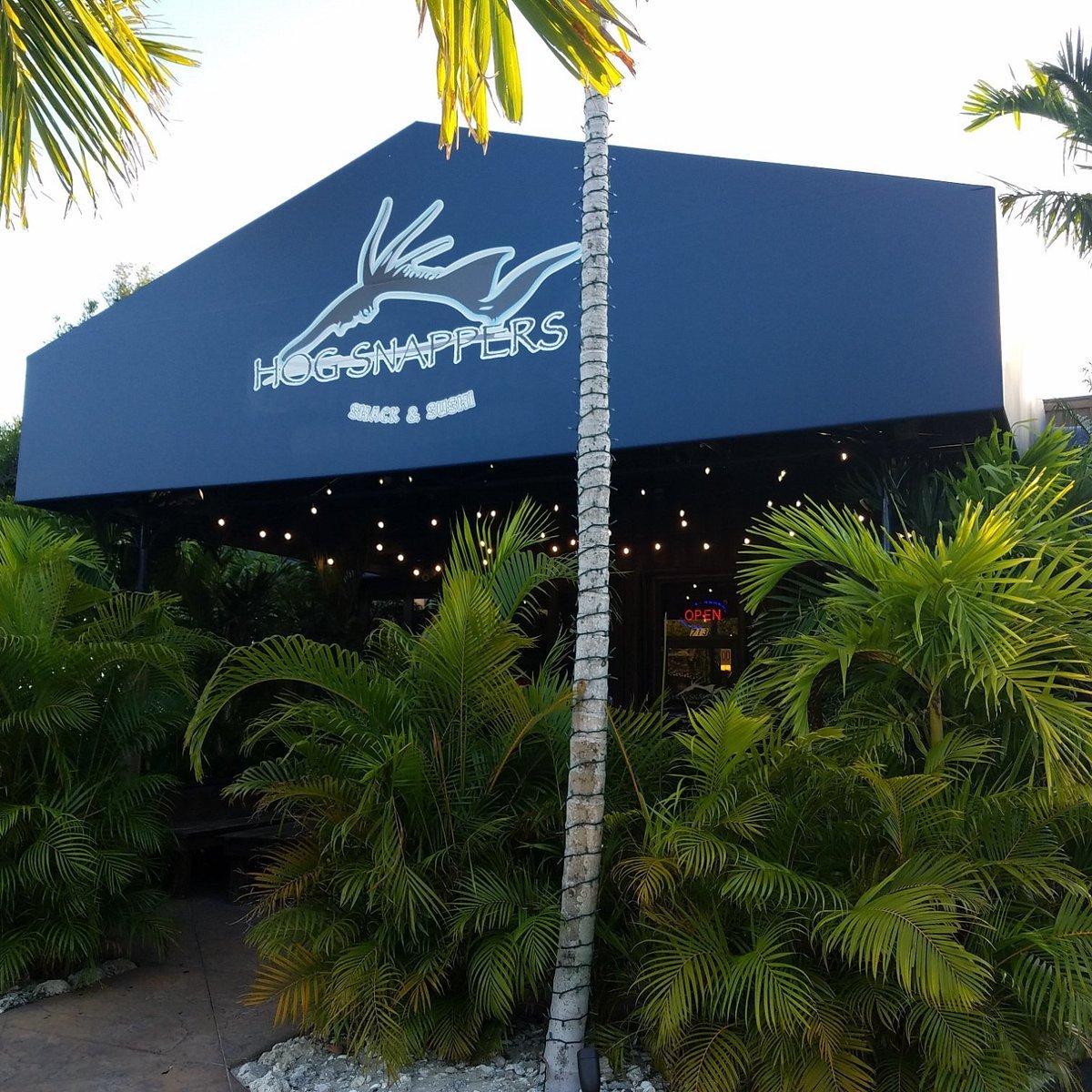 Hog Snappers (Tequesta)