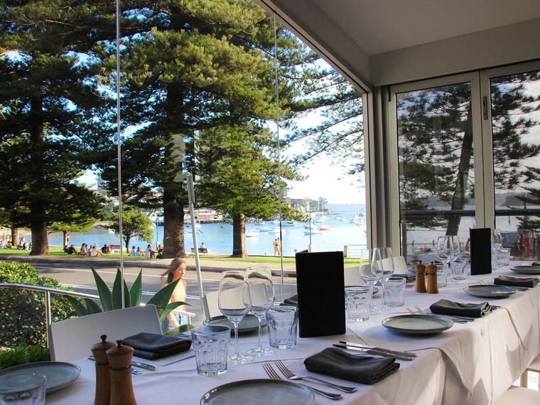 Garfish, Sydney, Australia