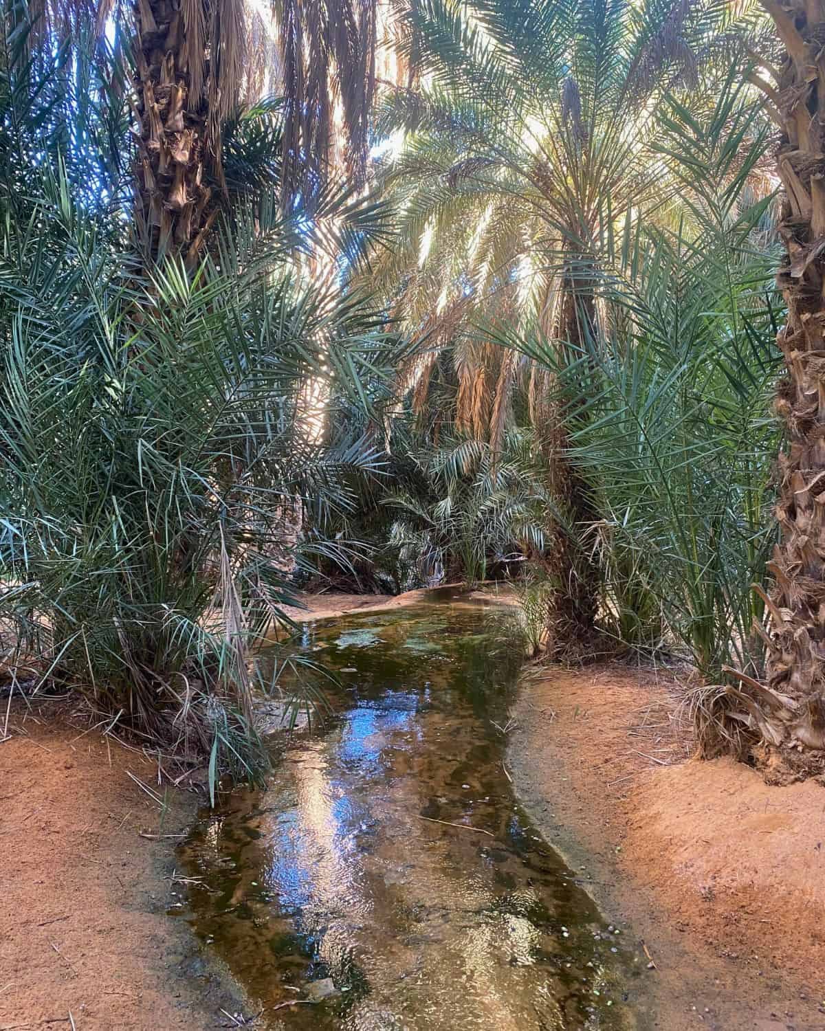 Chez Jemal restaurant in Terjit, Mauritania