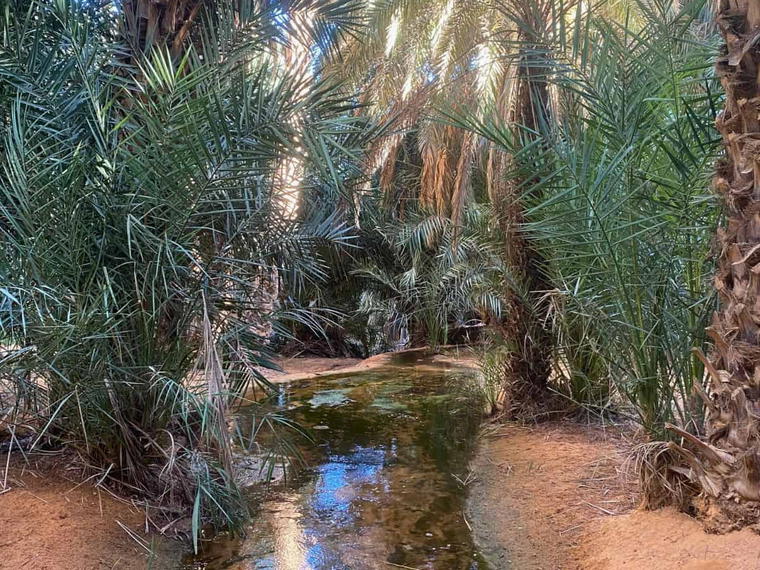 Chez Jemal, Terjit, Mauritania