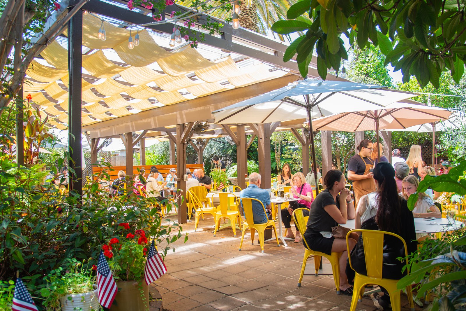 Sunflower Caffe, Restaurant in Sonoma