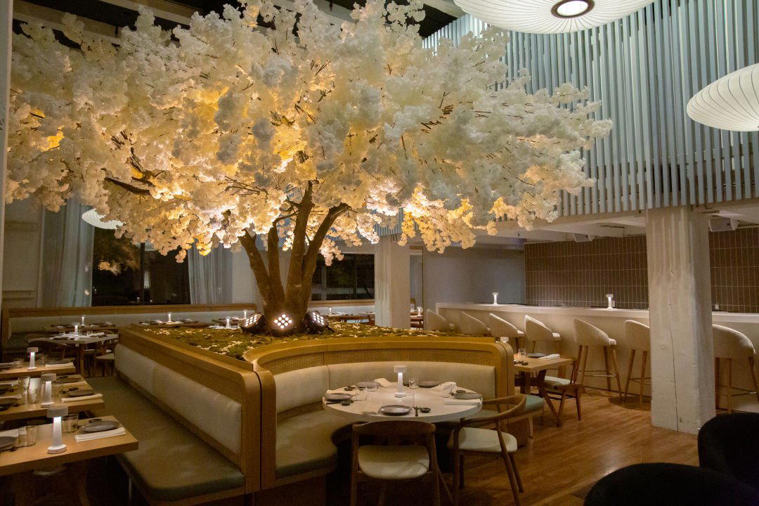 Janken restaurant in Portland, United States