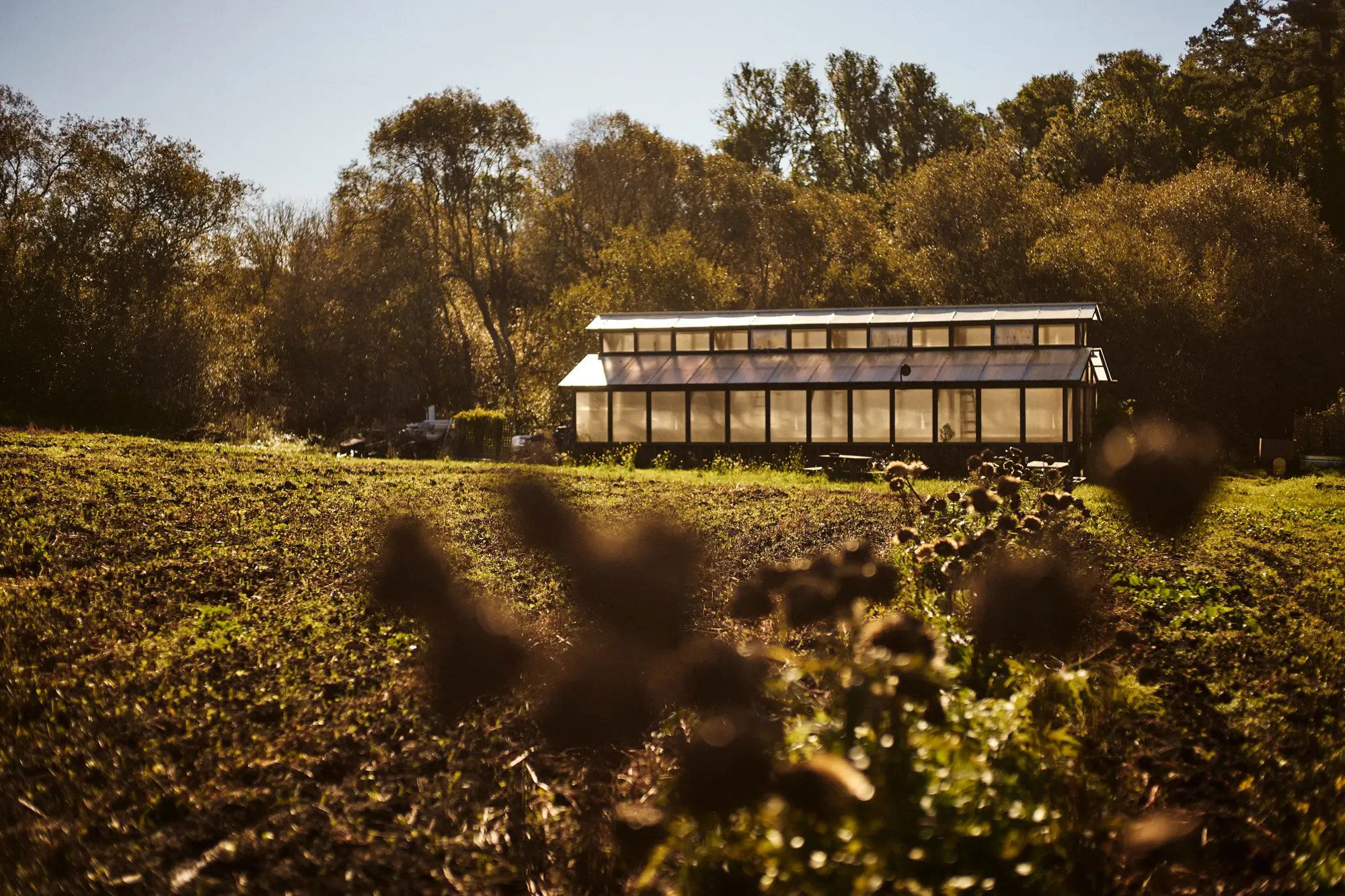Fresh Run Farm, Restaurant in San Francisco