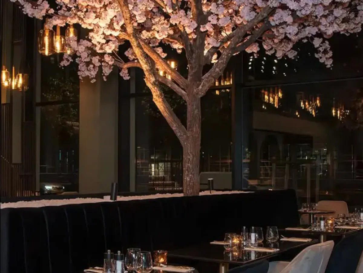 The Tree restaurant in Paris, France