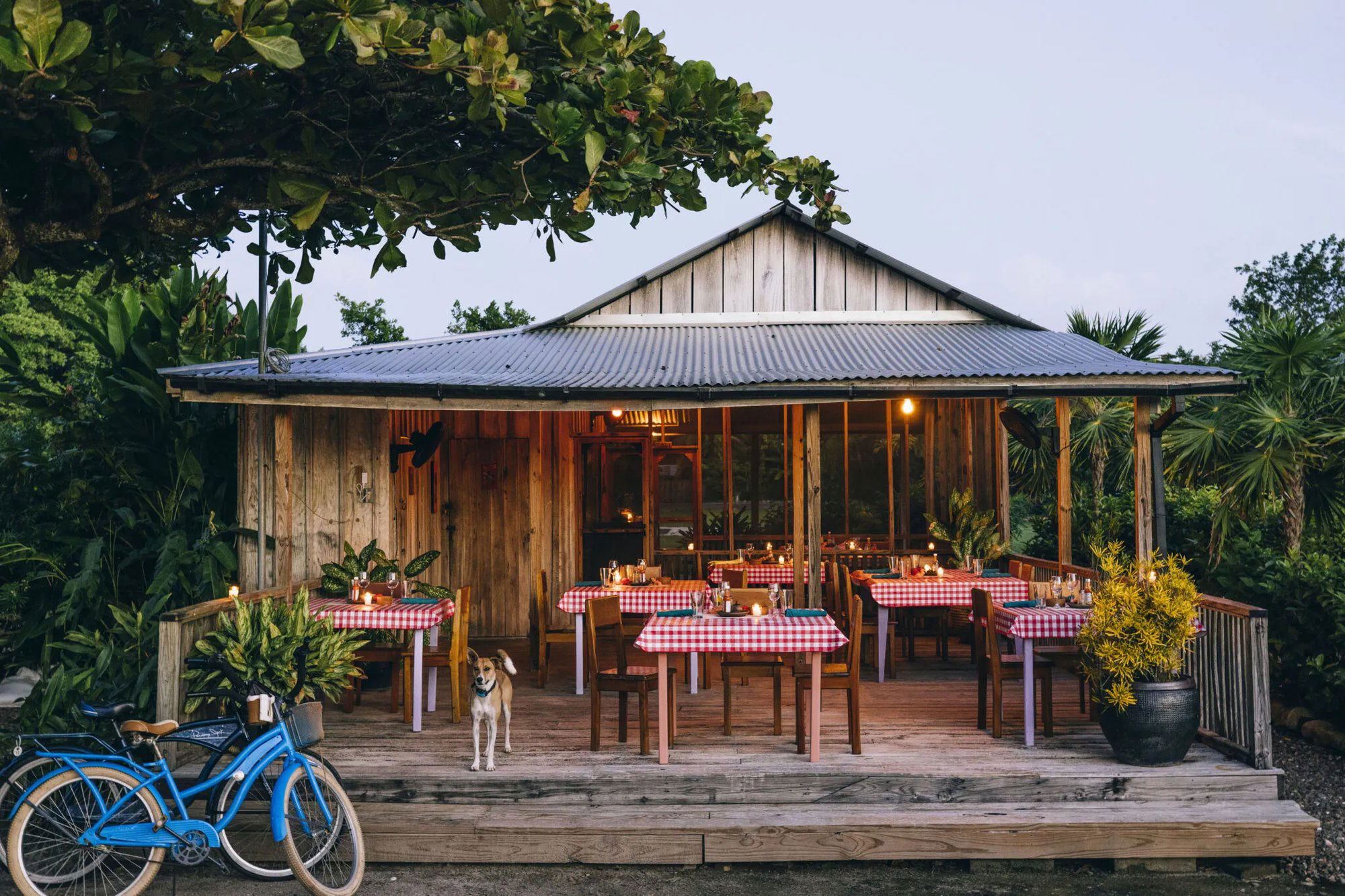 Auntie Luba's Kitchen, Restaurant in Placencia