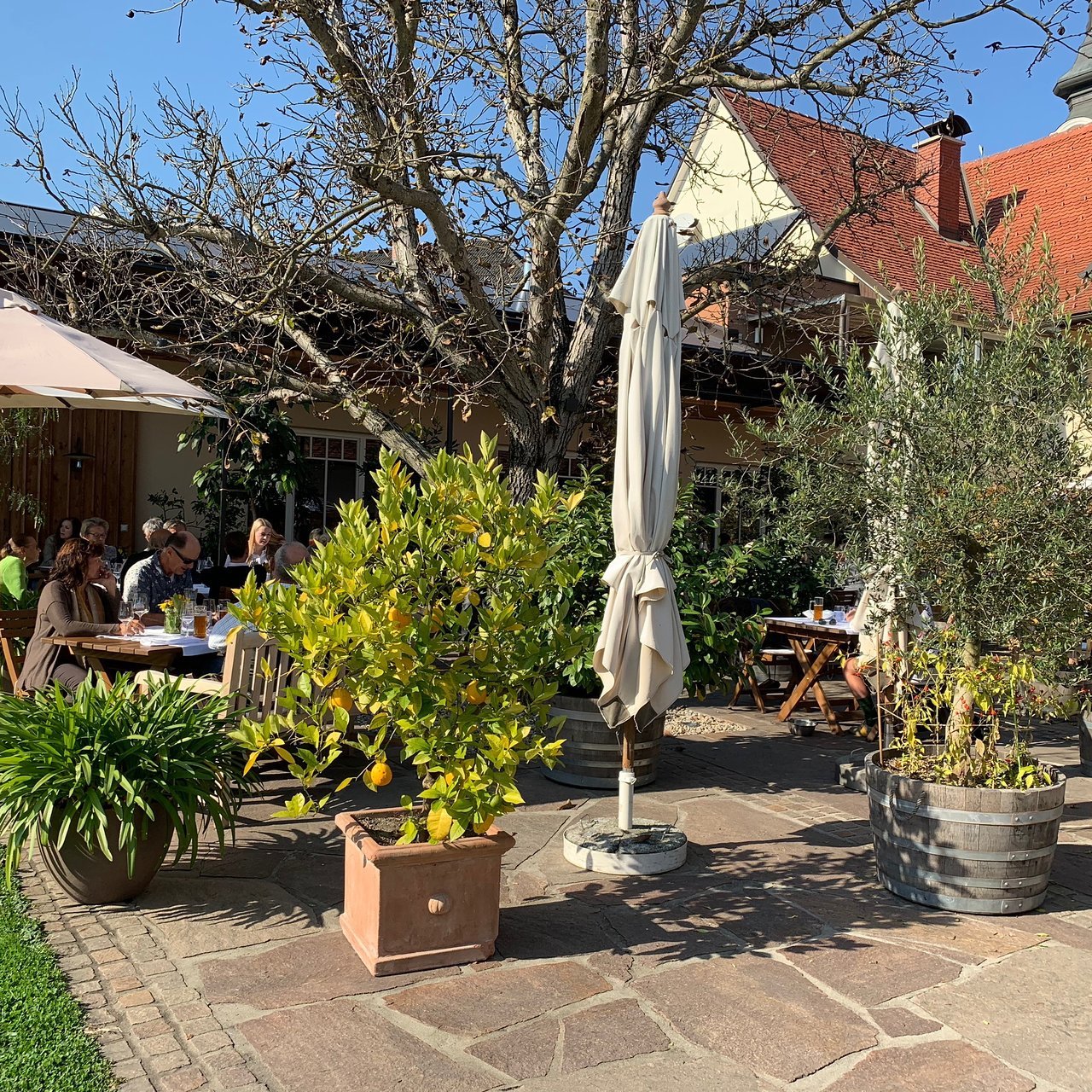 Gasthaus Restaurant Thaller restaurant in Sankt Veit am Vogau, Austria