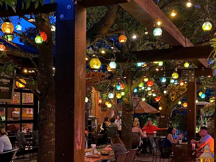 The Velvet Cactus, New Orleans, United States