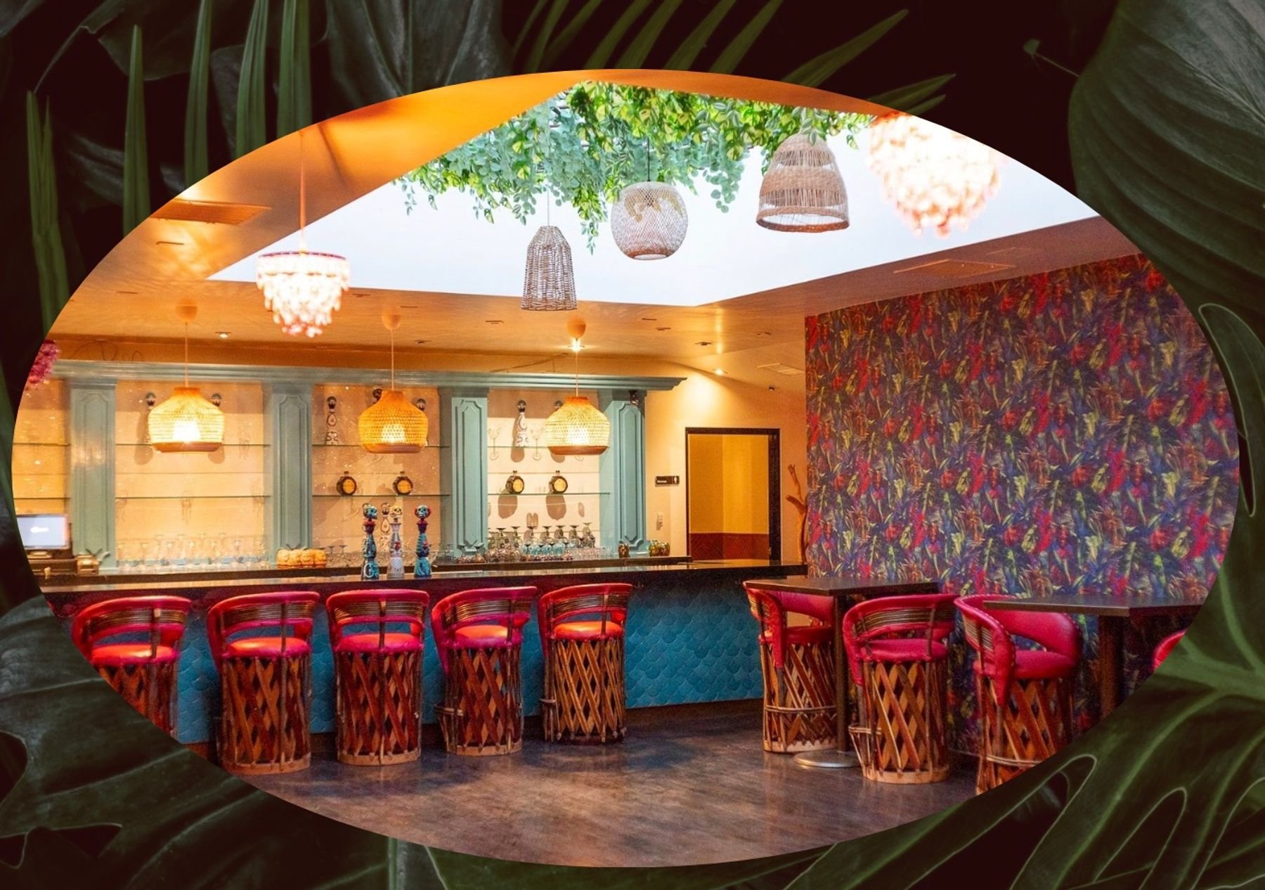 Bahia Hollywood, Restaurant in Los Angeles