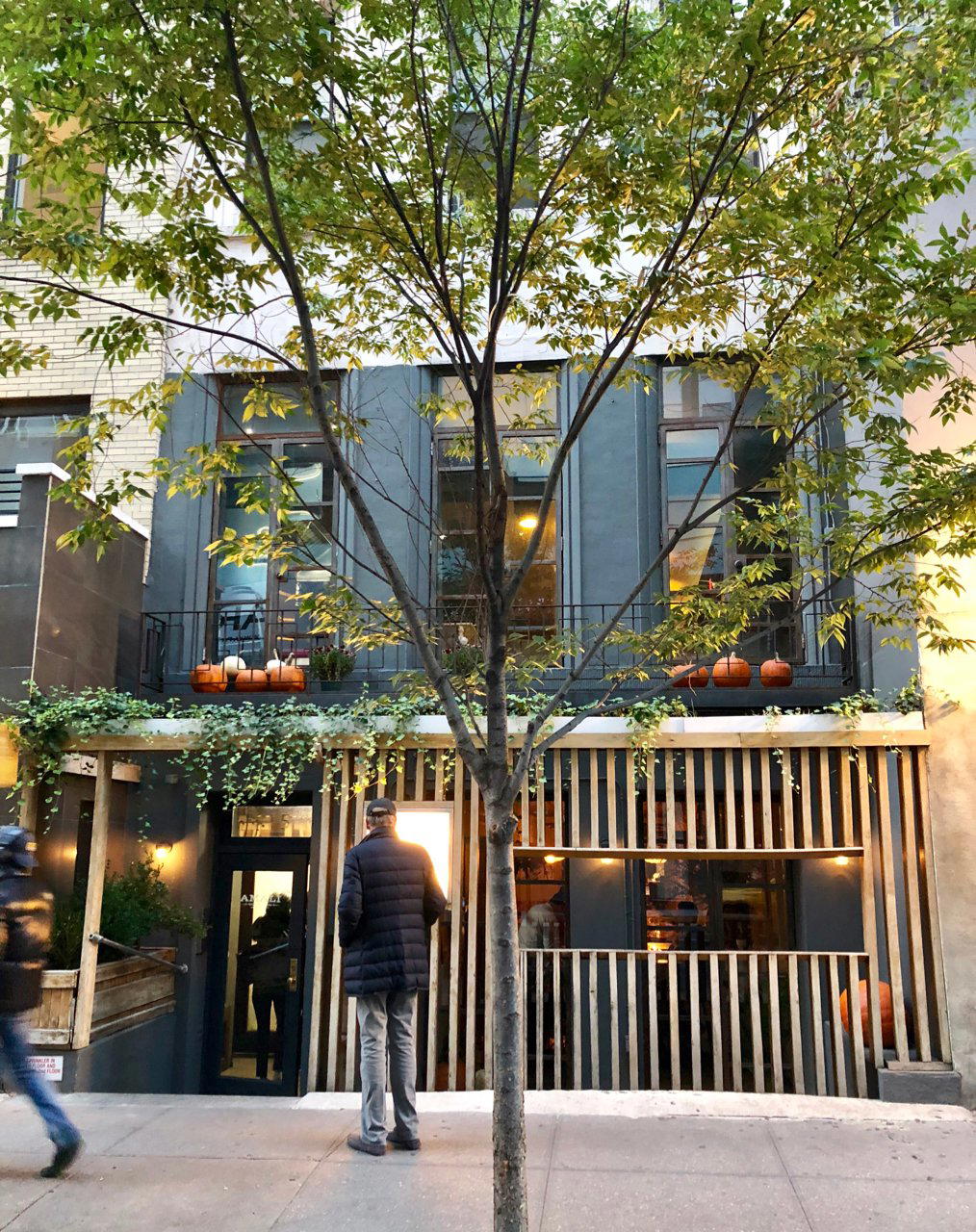 Amali, New York City, United States