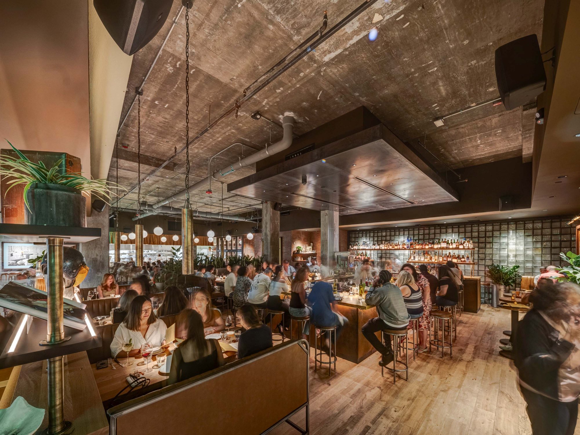 Corsica Wine Bar