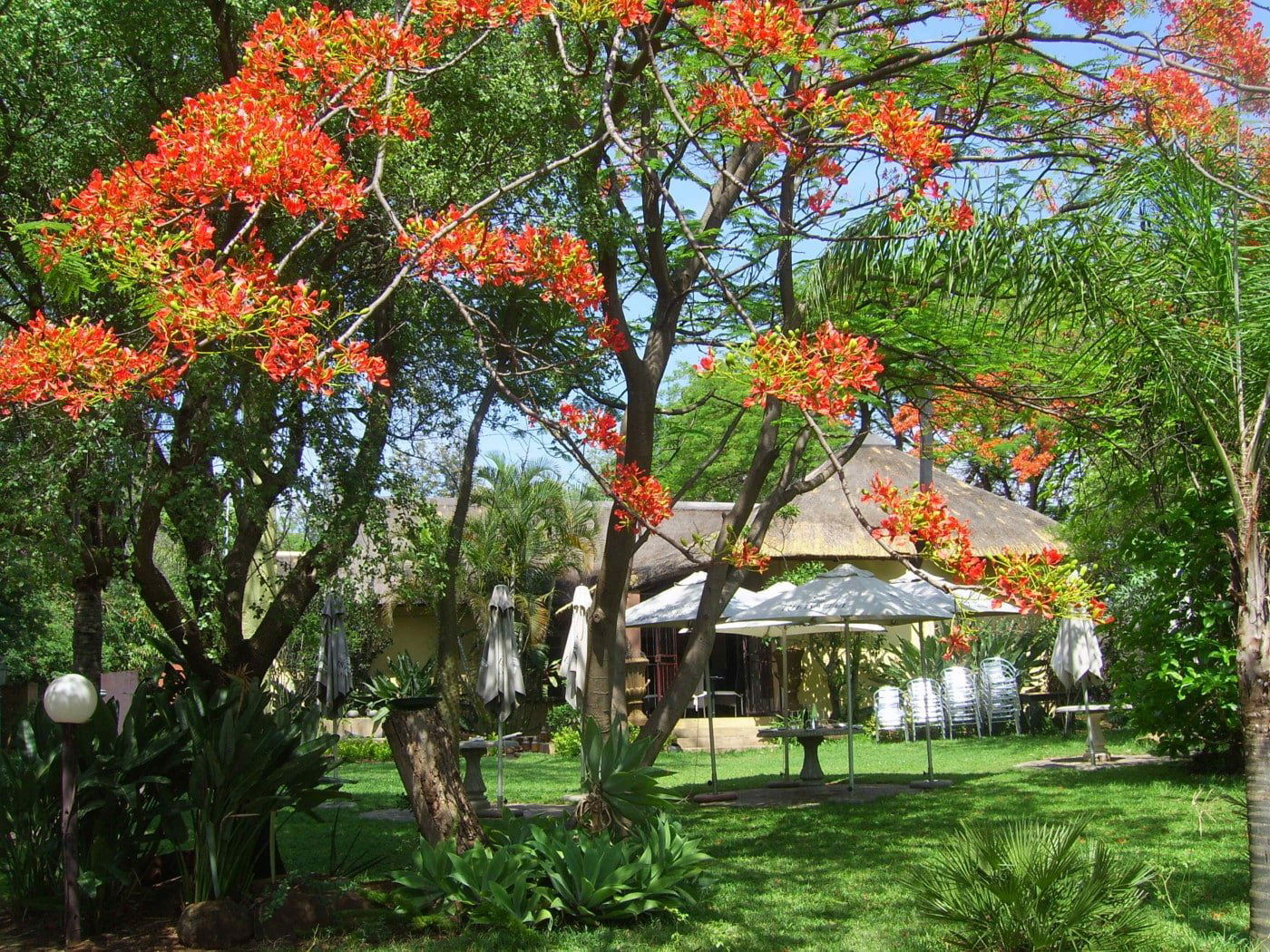 Silver Orange, Restaurant in Hartbeespoort