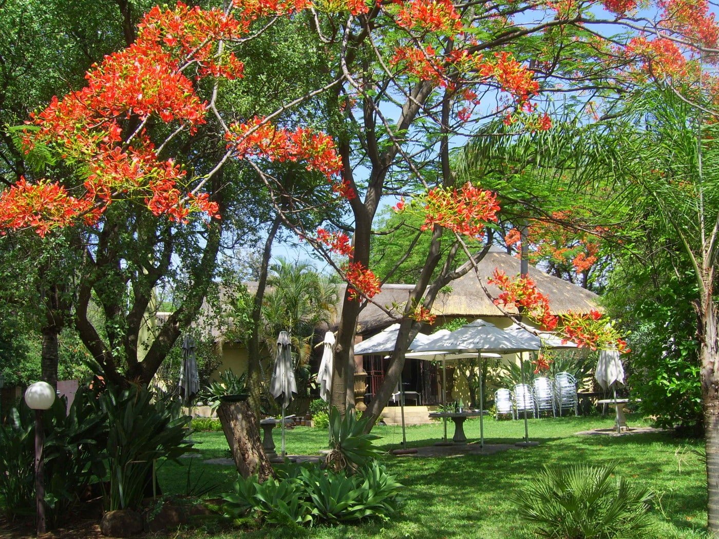 Silver Orange restaurant in Hartbeespoort, South Africa