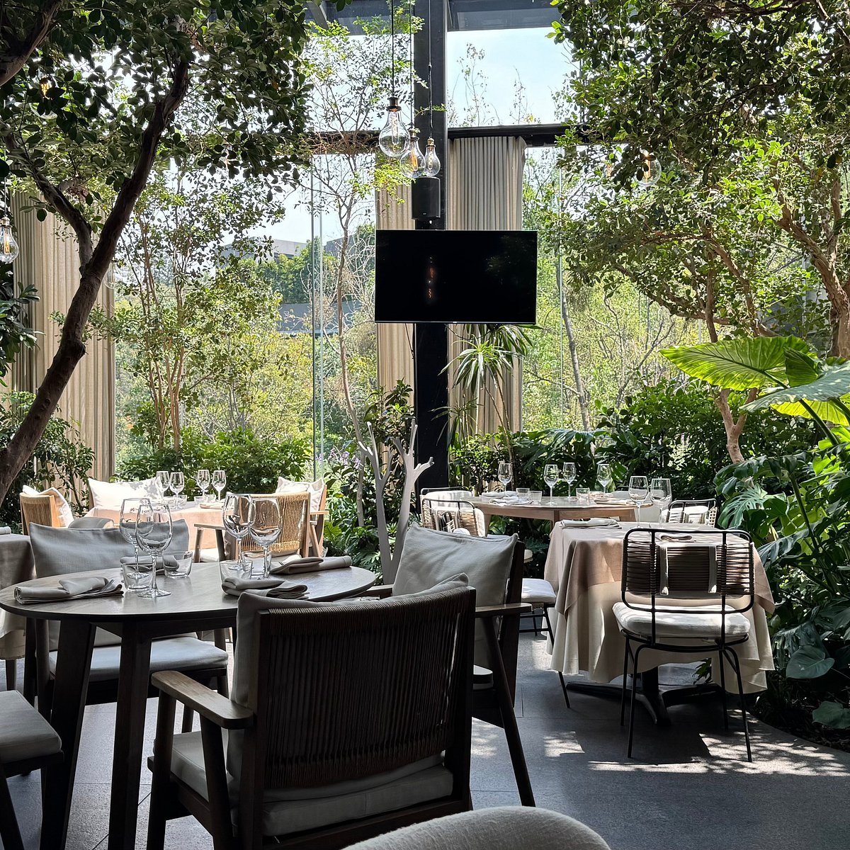 Cantinetta del Becco, Mexico City, Mexico