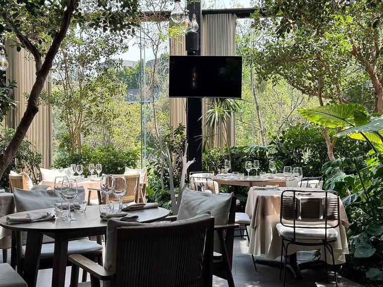 Cantinetta del Becco, Mexico City, Mexico