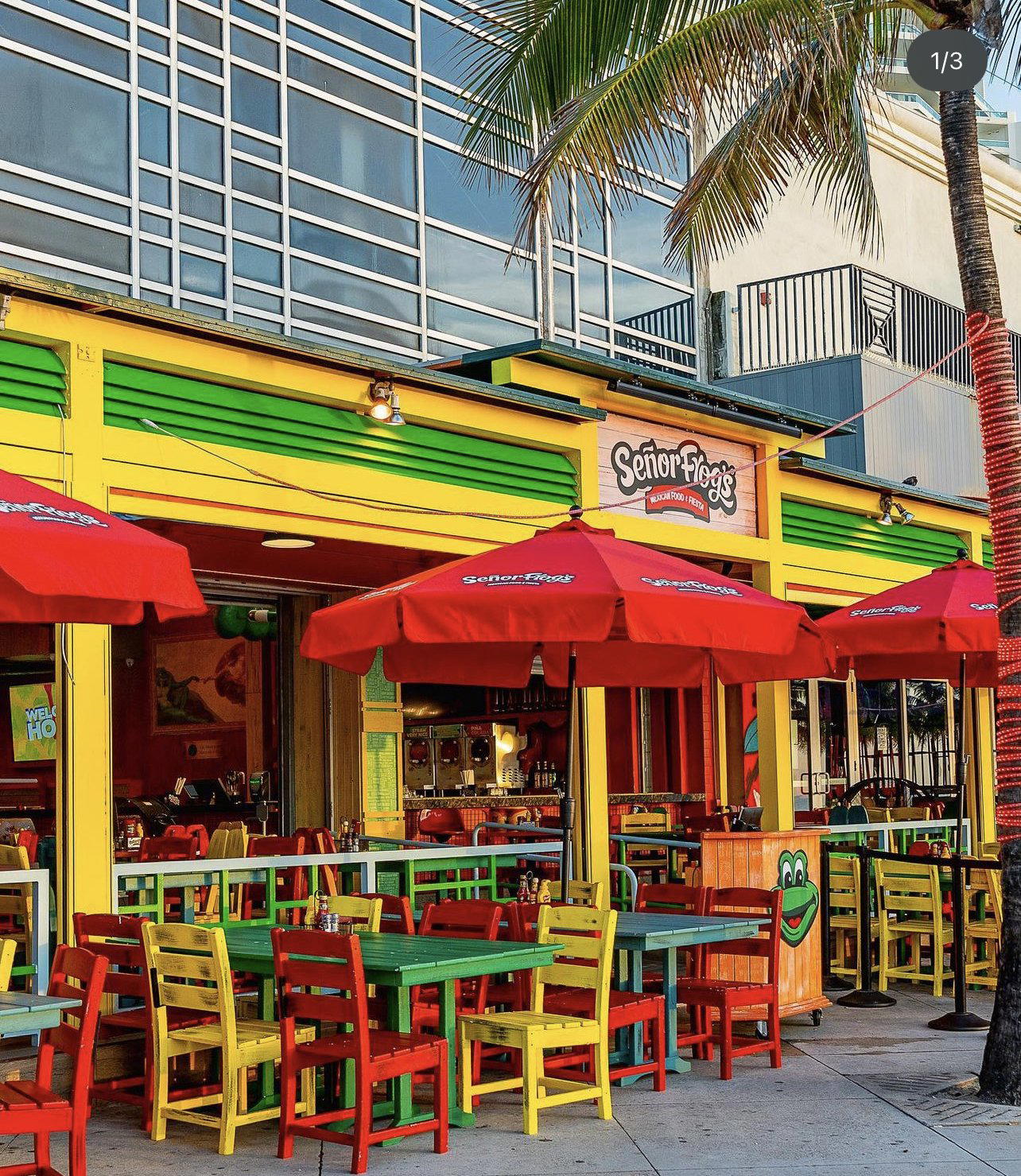 Señor Frog's restaurant in Fort Lauderdale, United States
