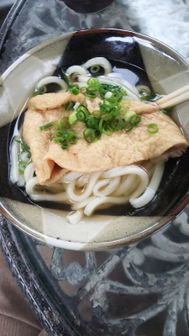 Gamō Udon