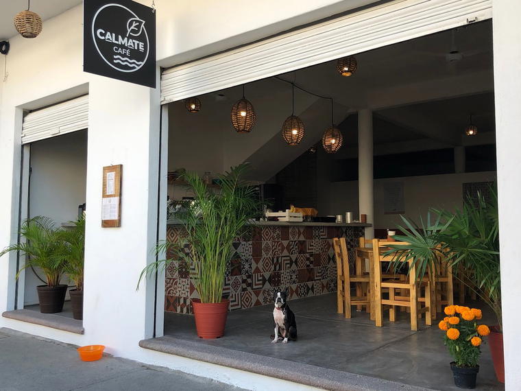Calmate Cafe, Puerto Vallarta, Mexico