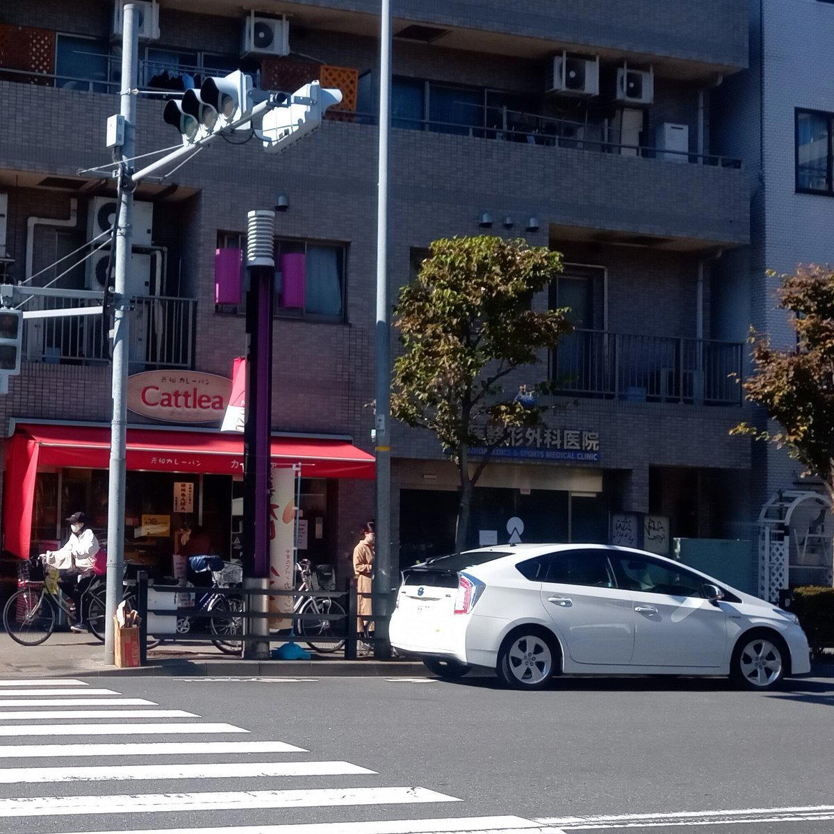 Cattlea, Tokyo, Japan
