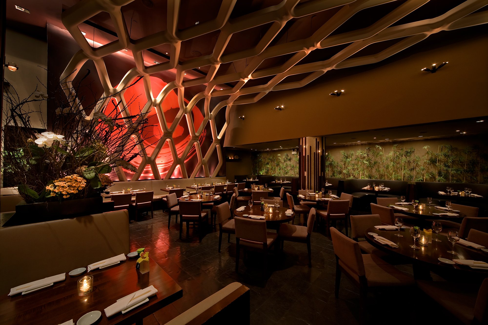 Koi, New York City, United States