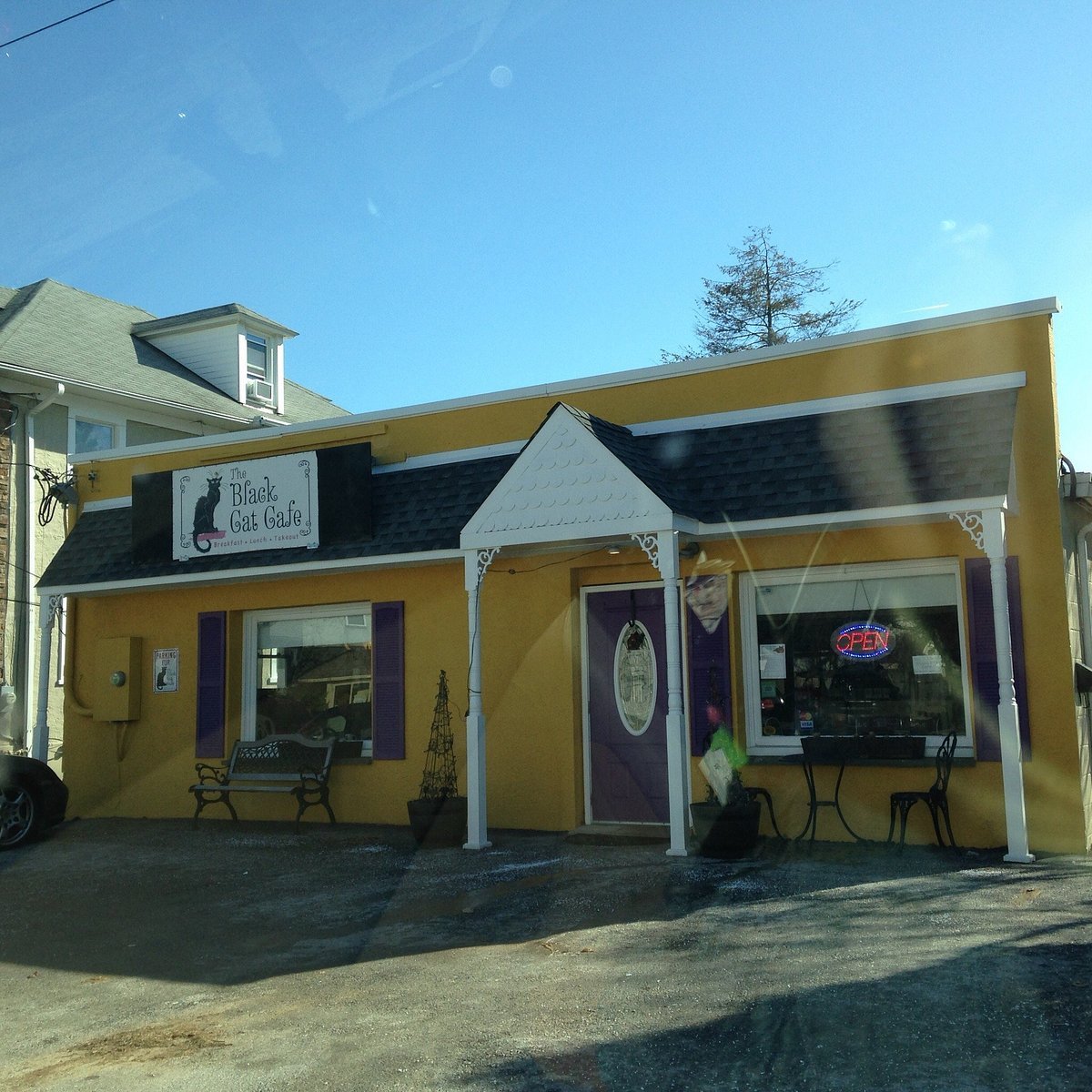 The Black Cat Cafe