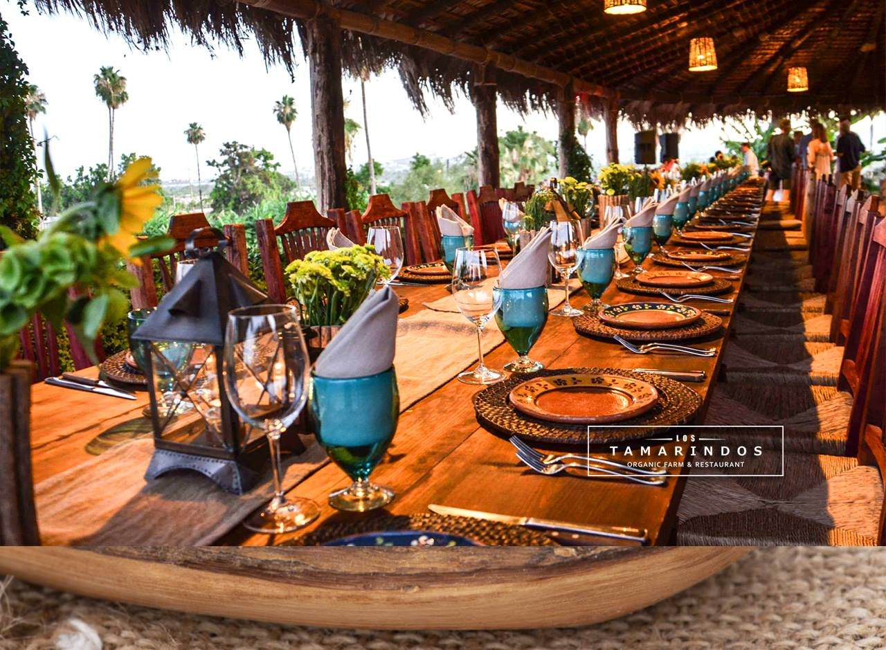 Tamarindos, Restaurant in Los Cabos