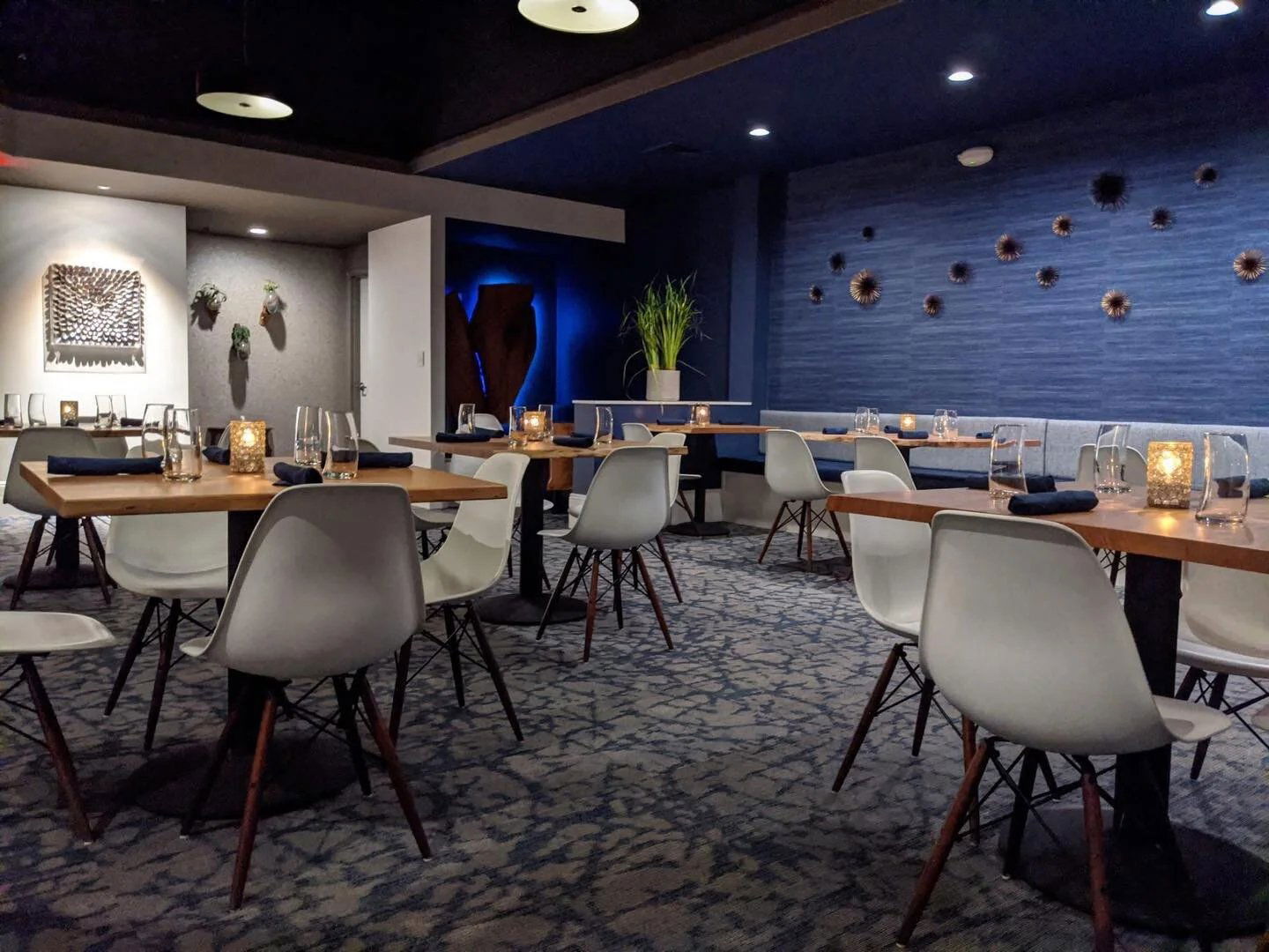 VELE, Restaurant in Springfield