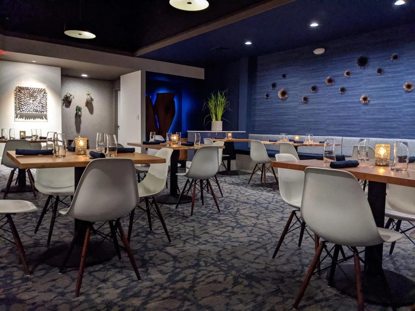 VELE restaurant in Springfield