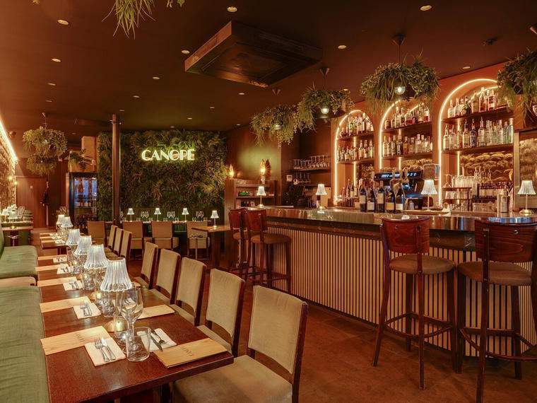 Canopé, Paris, France